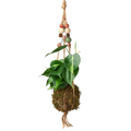Bead Kokedama Moss Ball Hanging Plant